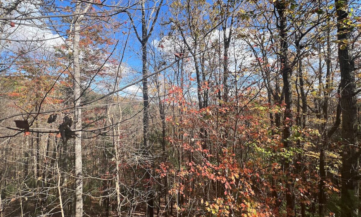Photo of Others in Millers Creek
