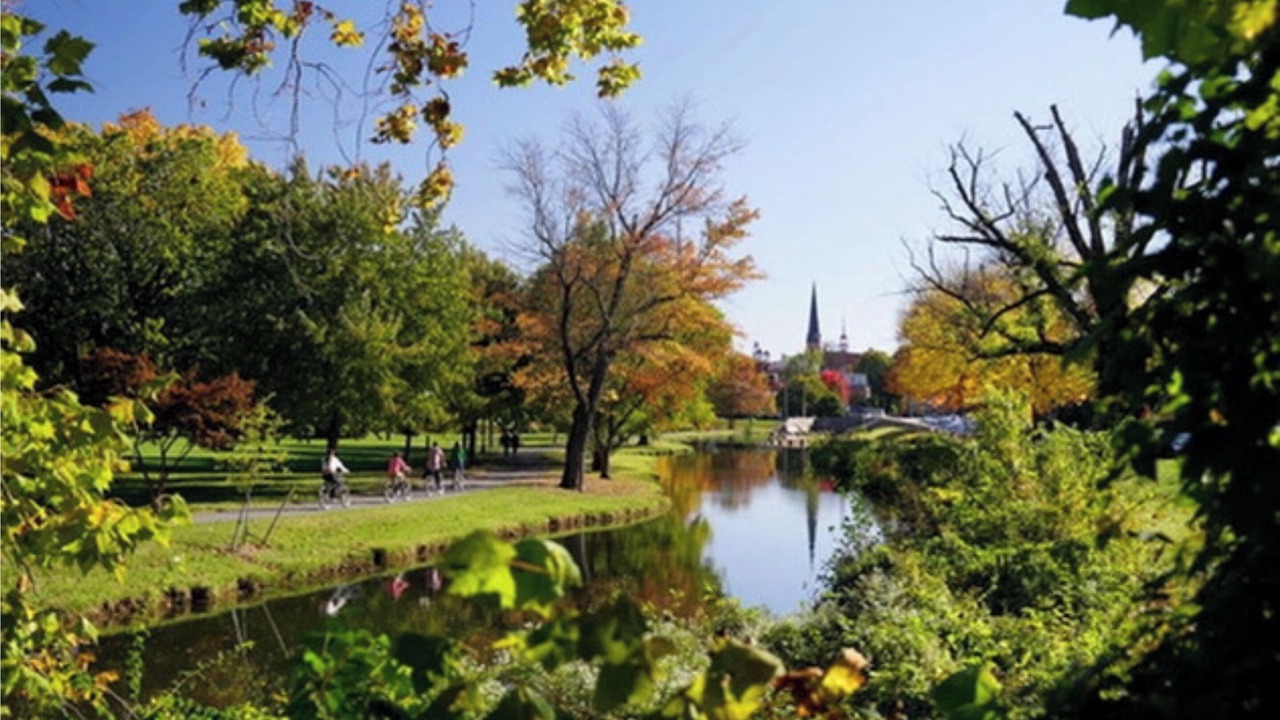 Photo of Others in Frederick