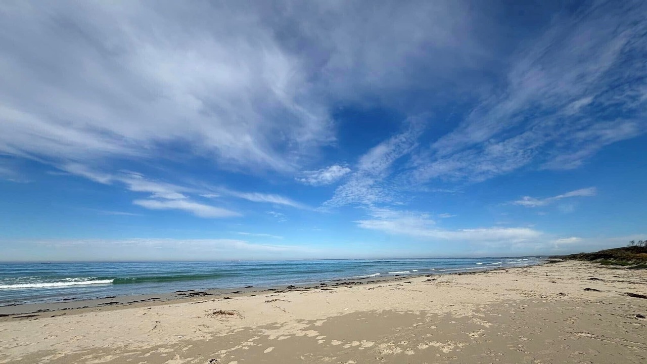 Photo of Others in Narrawong