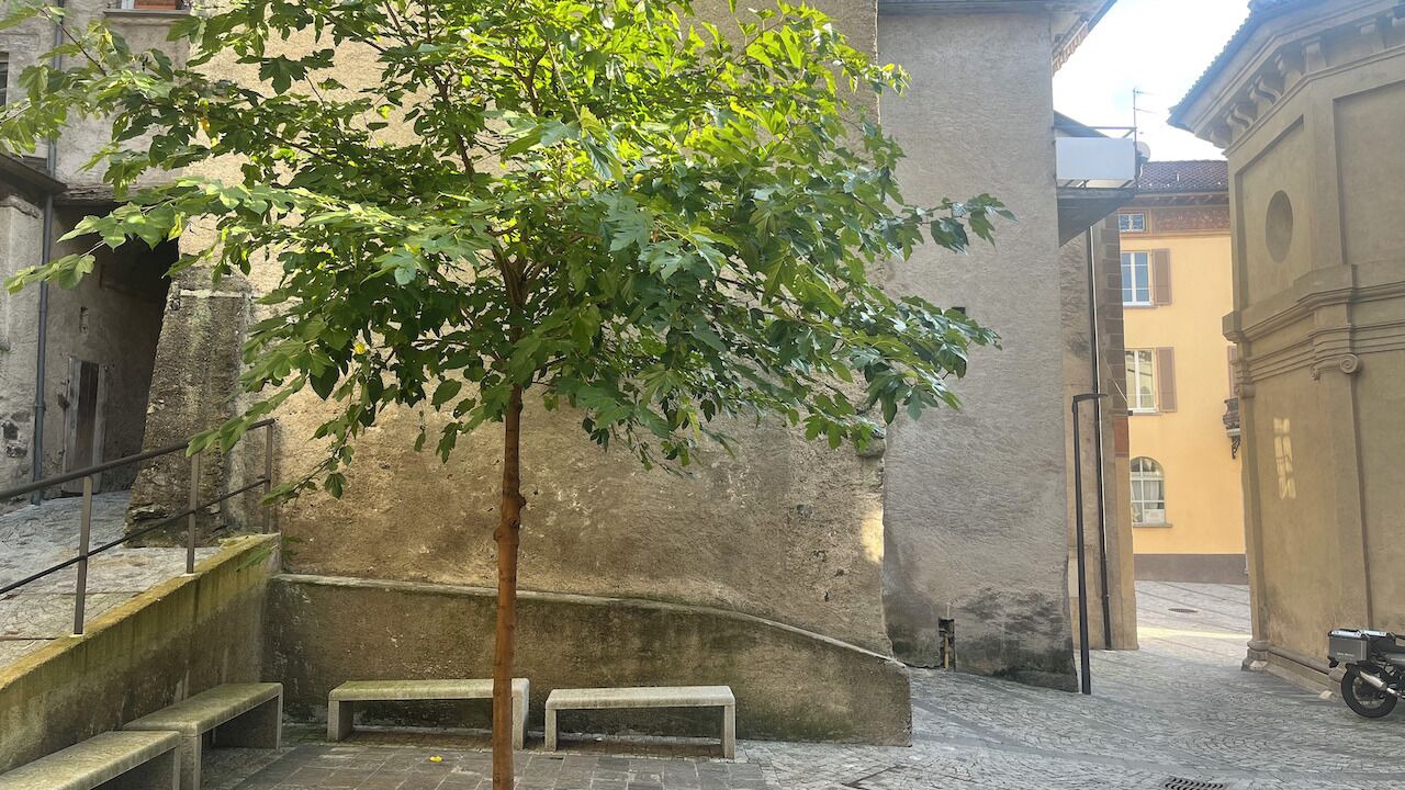 Photo of Outdoor in Sonvico