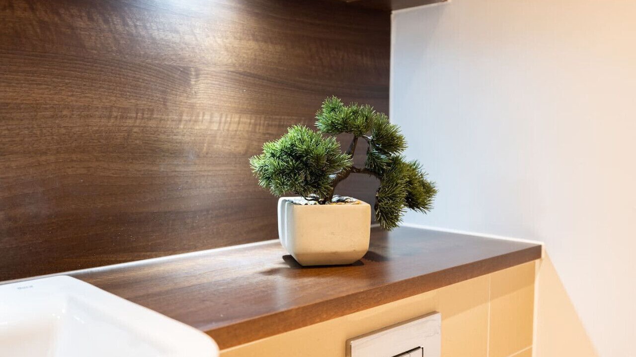 Photo of Others in Holloway