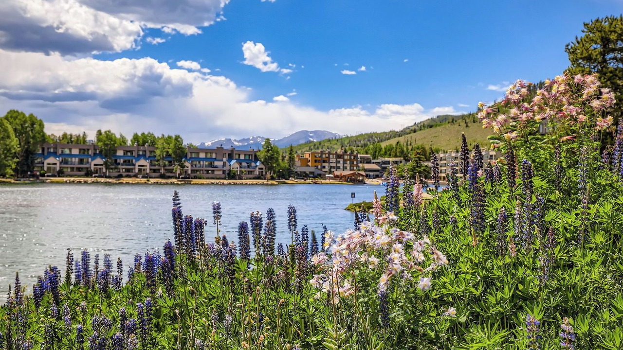 Photo of Others in Lakeside Village