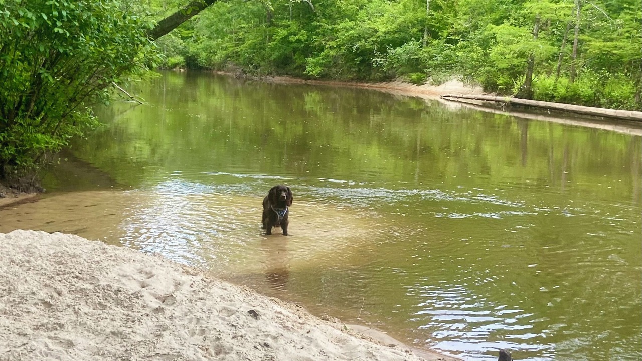 Photo of Others in Red Level