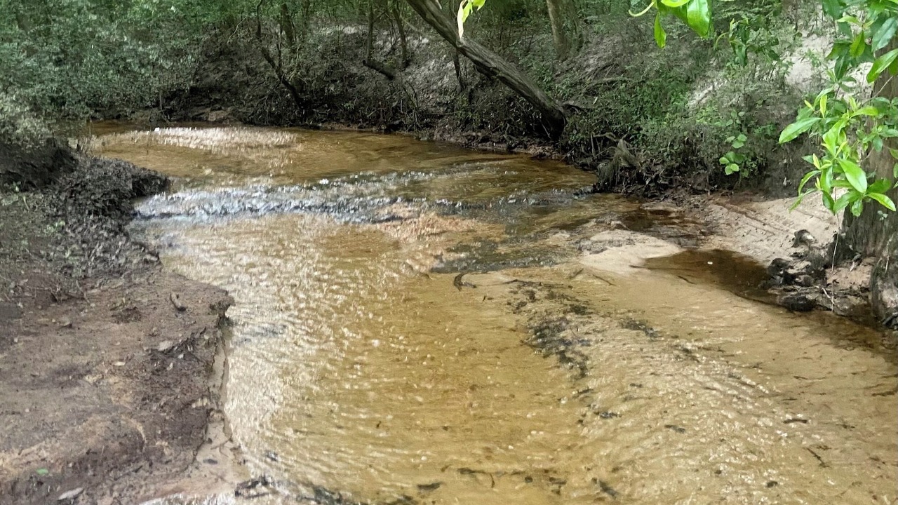 Photo of Others in Red Level