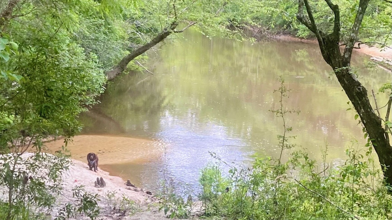 Photo of Others in Red Level