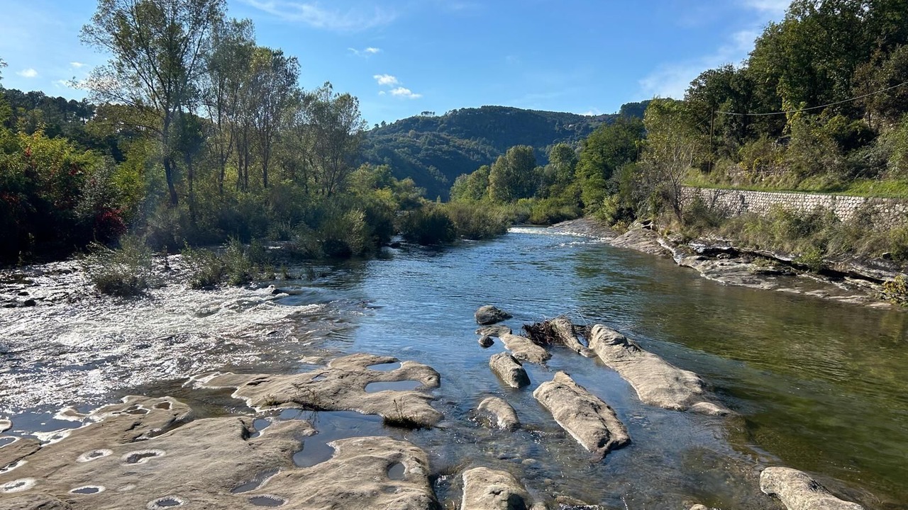 Photo of Others in Vernon