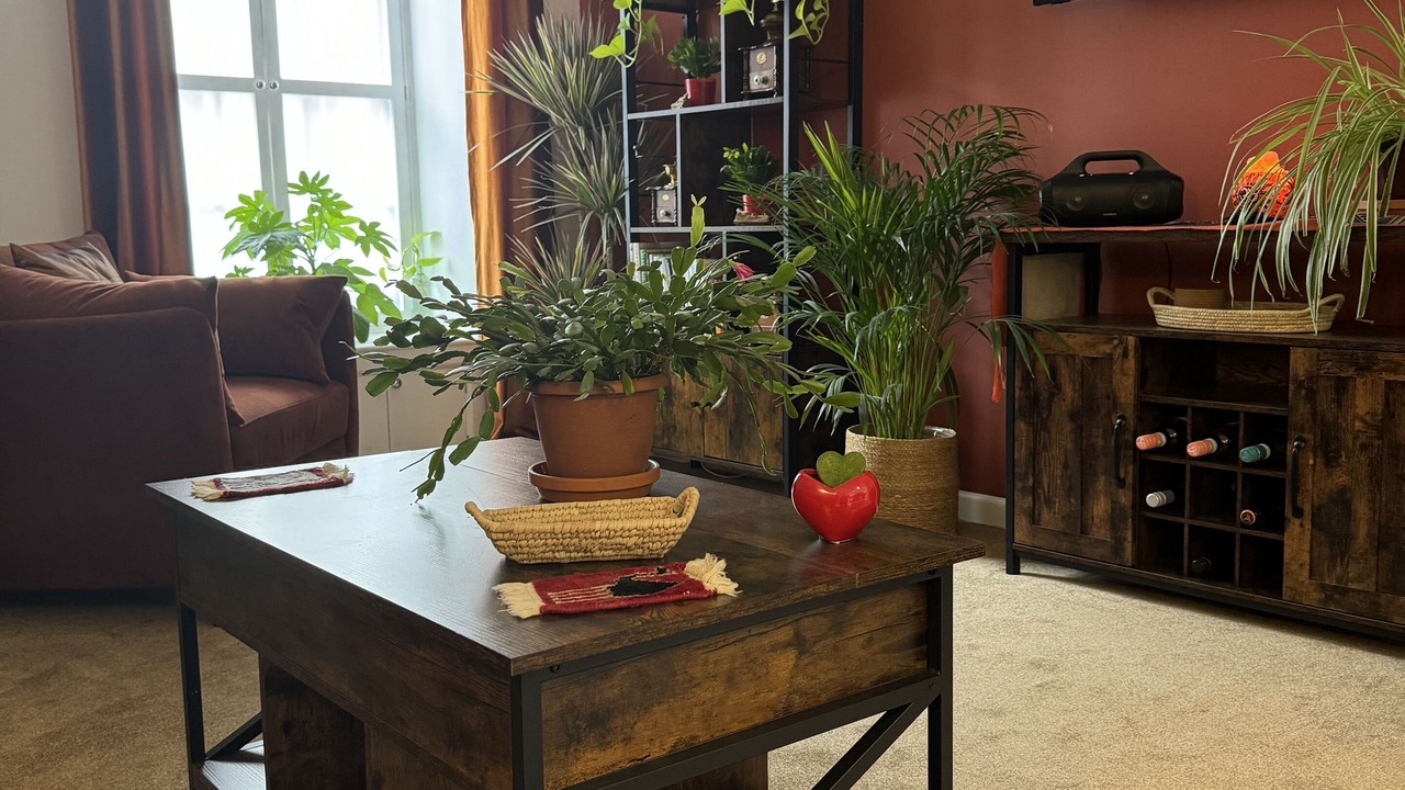 Photo of Others in Llandovery