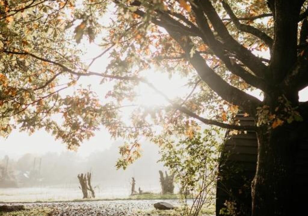 Photo of Outdoor in Woolhope