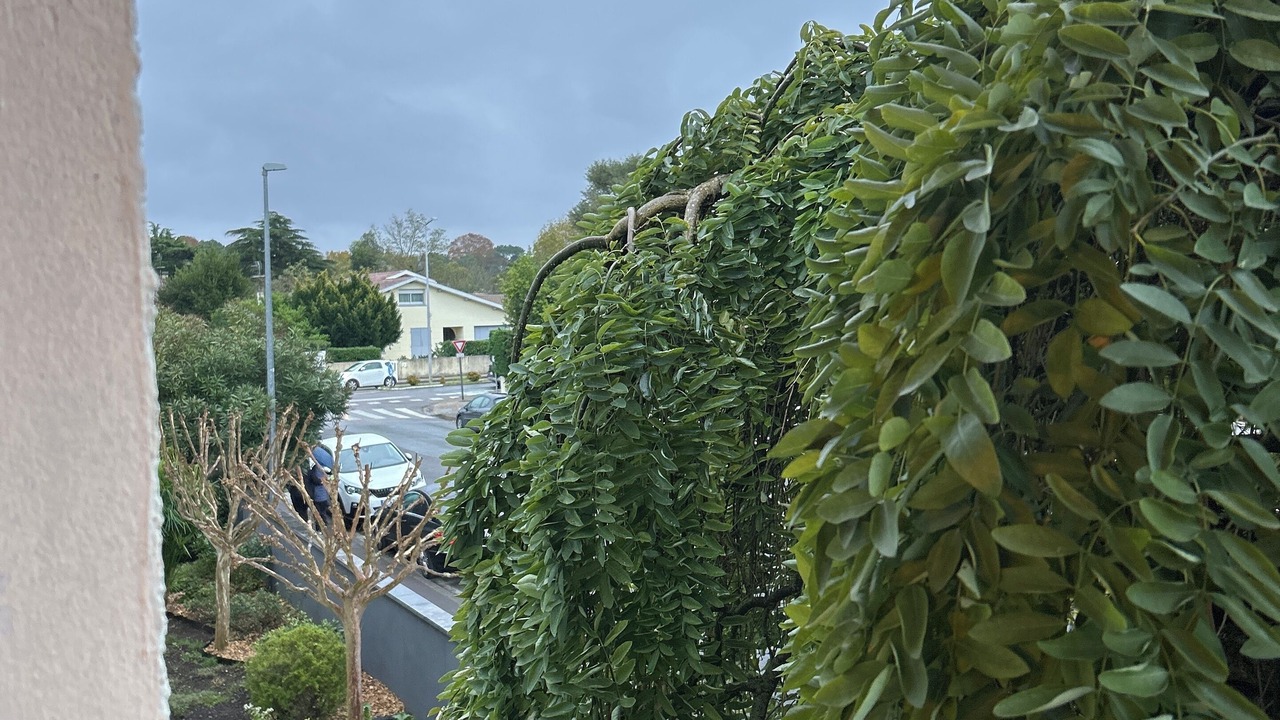 Photo of Outdoor in Lestonat - Monsejour