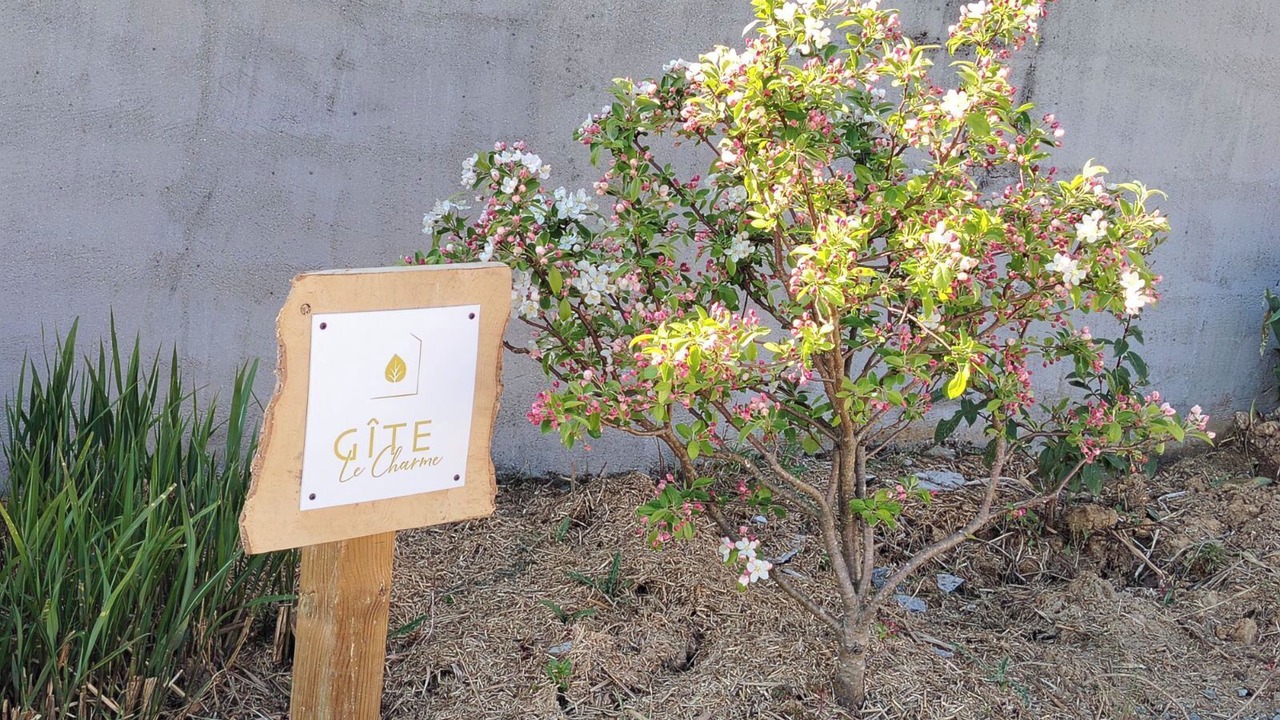 Photo of Others in Les Herbiers