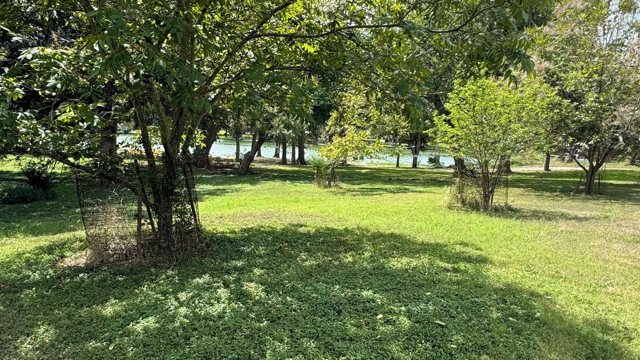Photo of Outdoor in New Braunfels