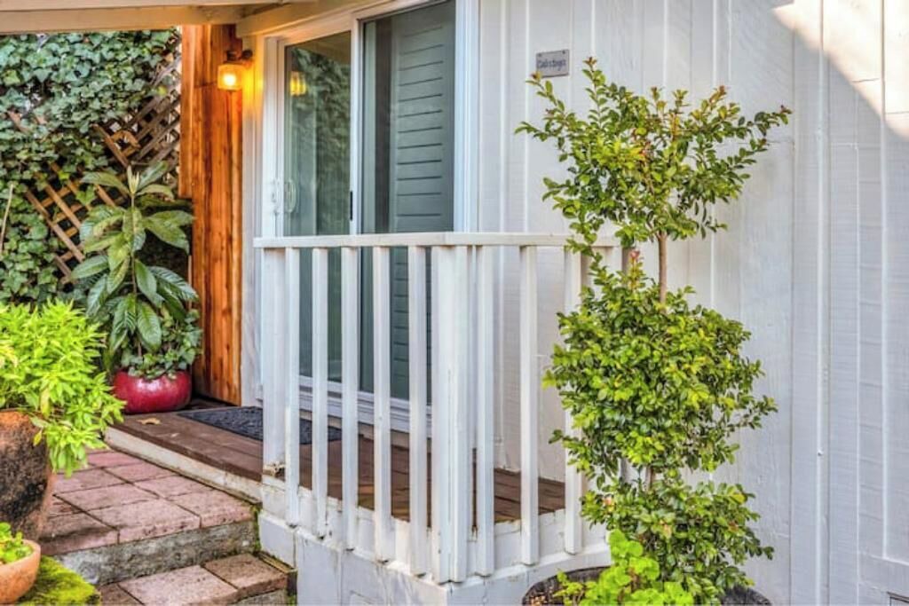 Photo of Outdoor in Calistoga