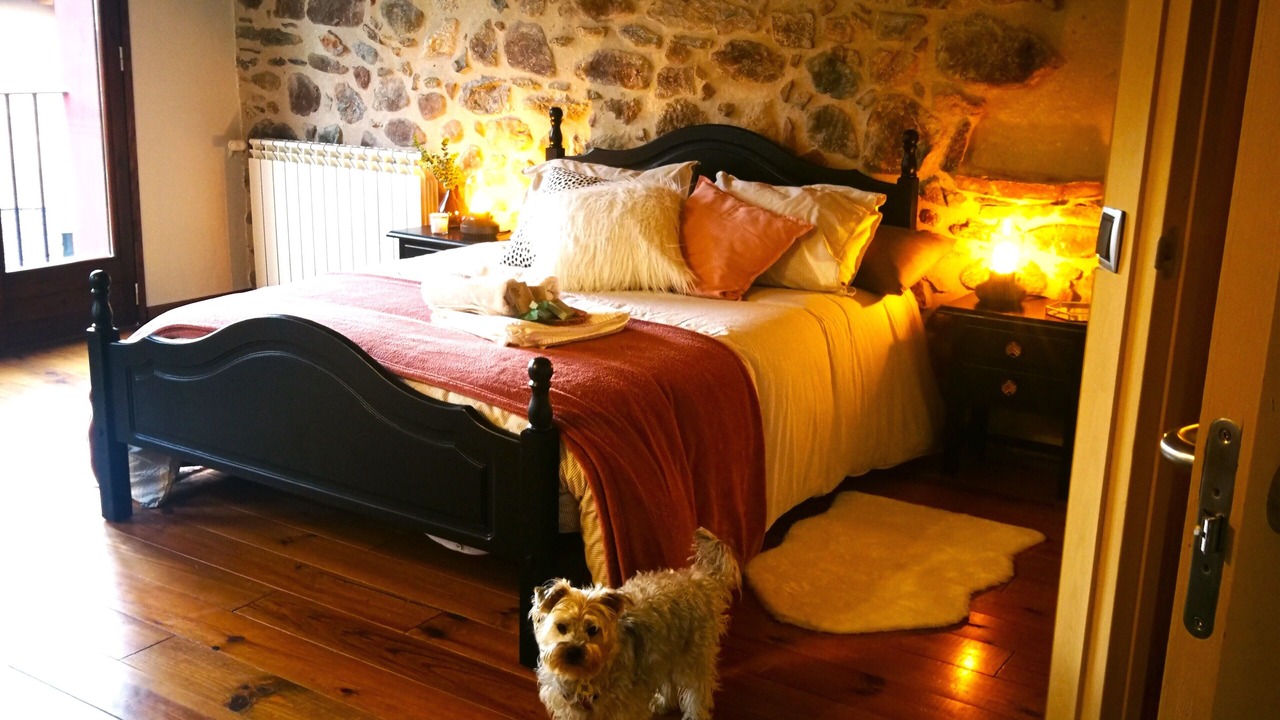 Photo of Bedroom in Noves de Segre