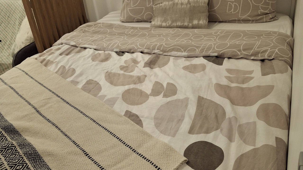 Photo of Bedroom in Vanves