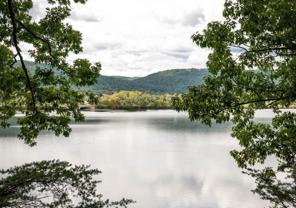 Photo of Others in Soddy-Daisy