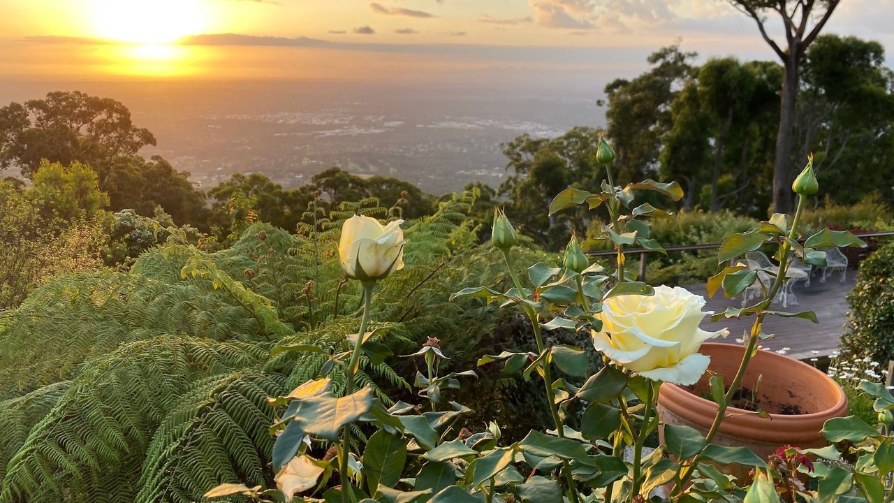 Photo of Outdoor in Mount Dandenong