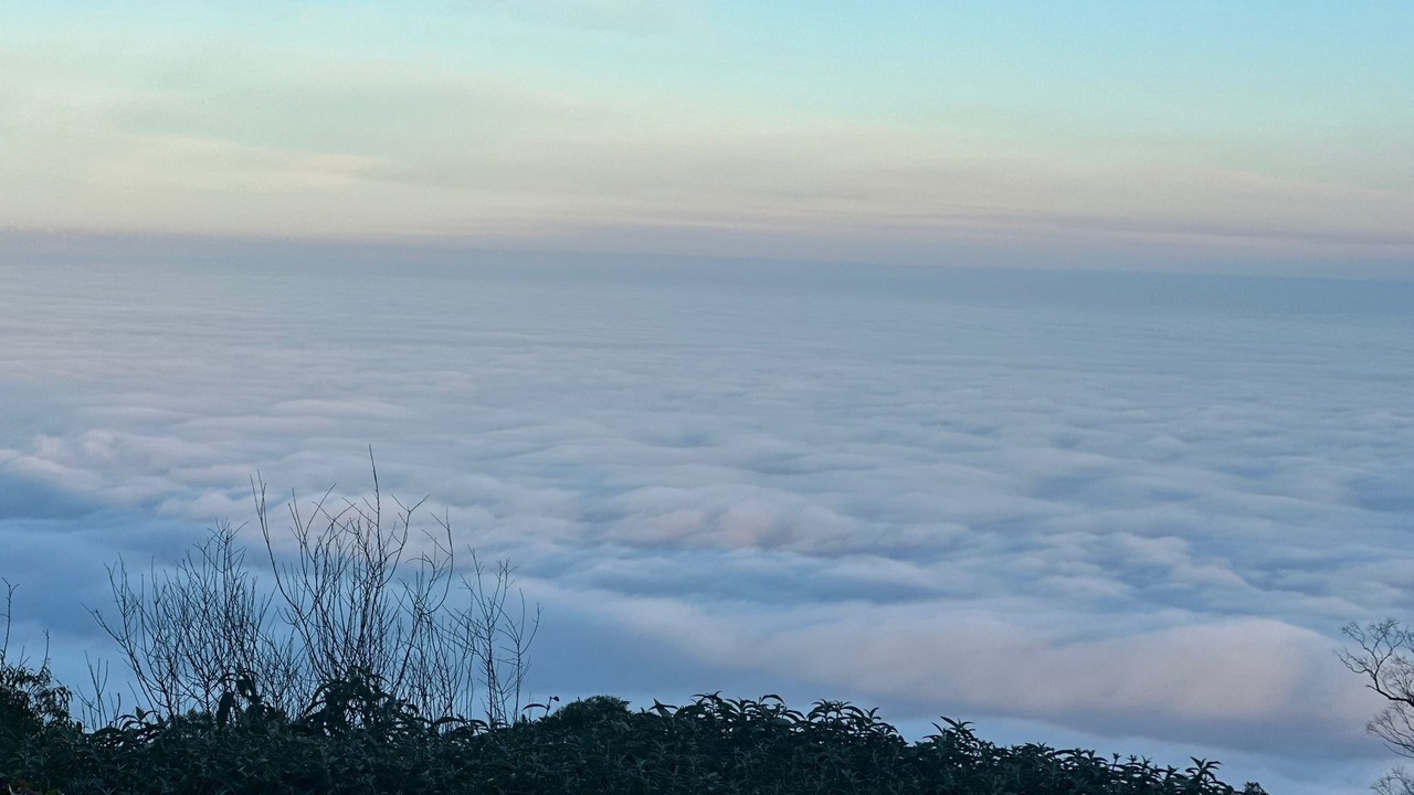 Photo of Others in Mount Dandenong