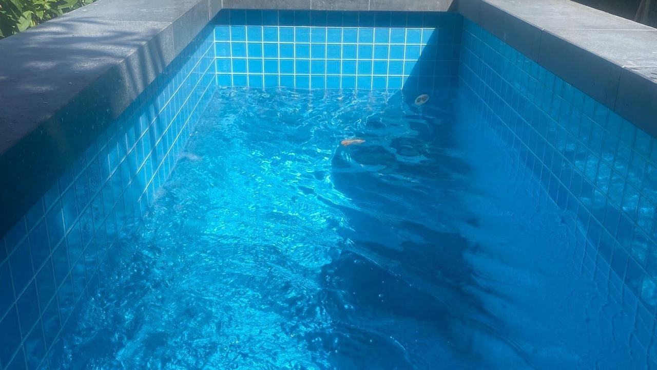 Photo of Outdoor in Mount Dandenong