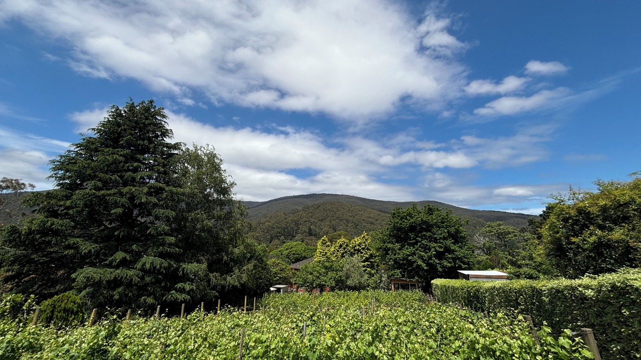 Photo of Others in Warburton