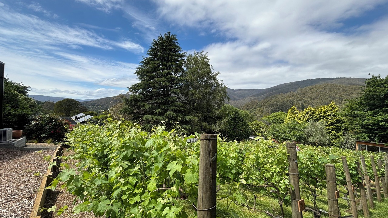 Photo of Others in Warburton