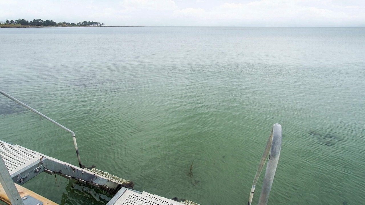 Photo of Others in Reersø