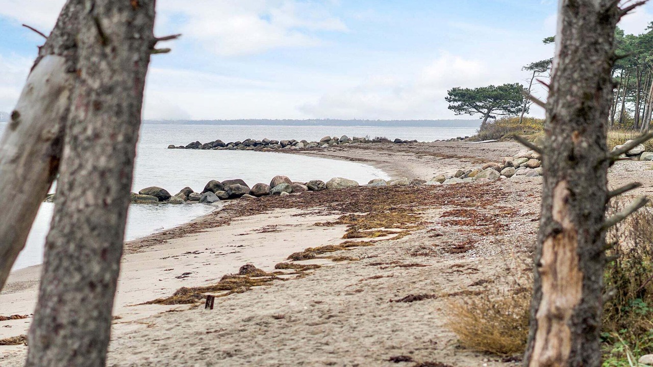 Photo of Others in Reersø