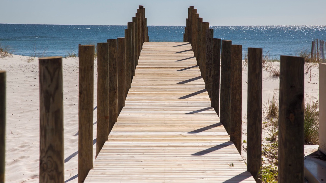 Photo of Others in Gulf Shores
