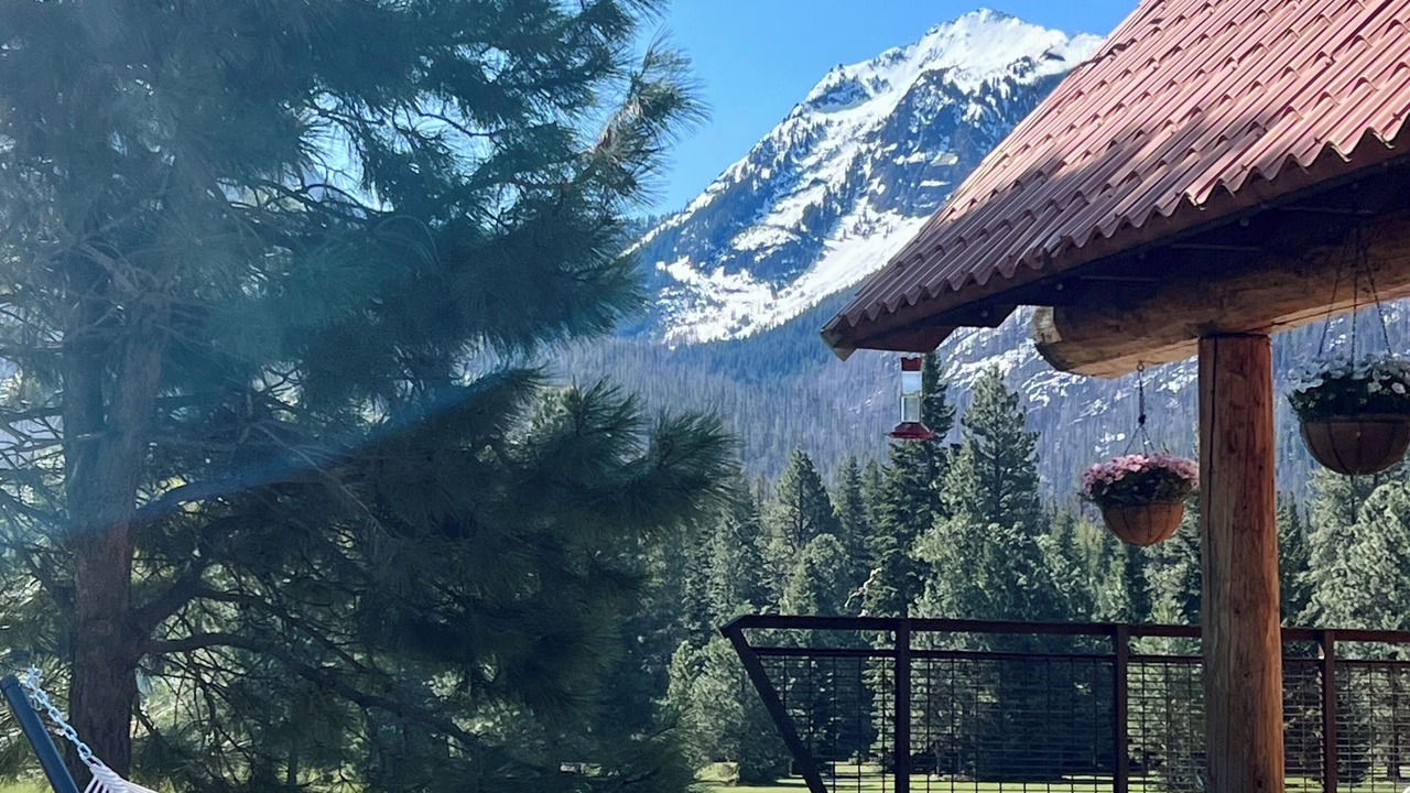 Photo of Outdoor in White Pass