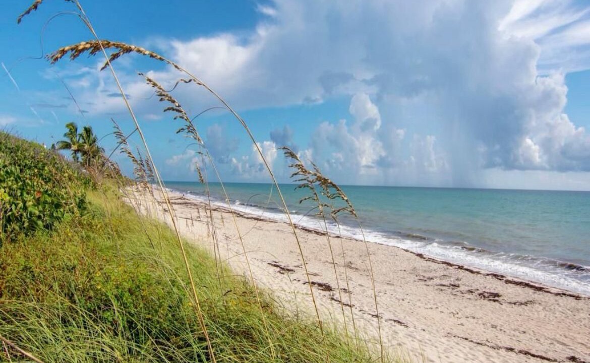 Photo of Others in Indian River Shores