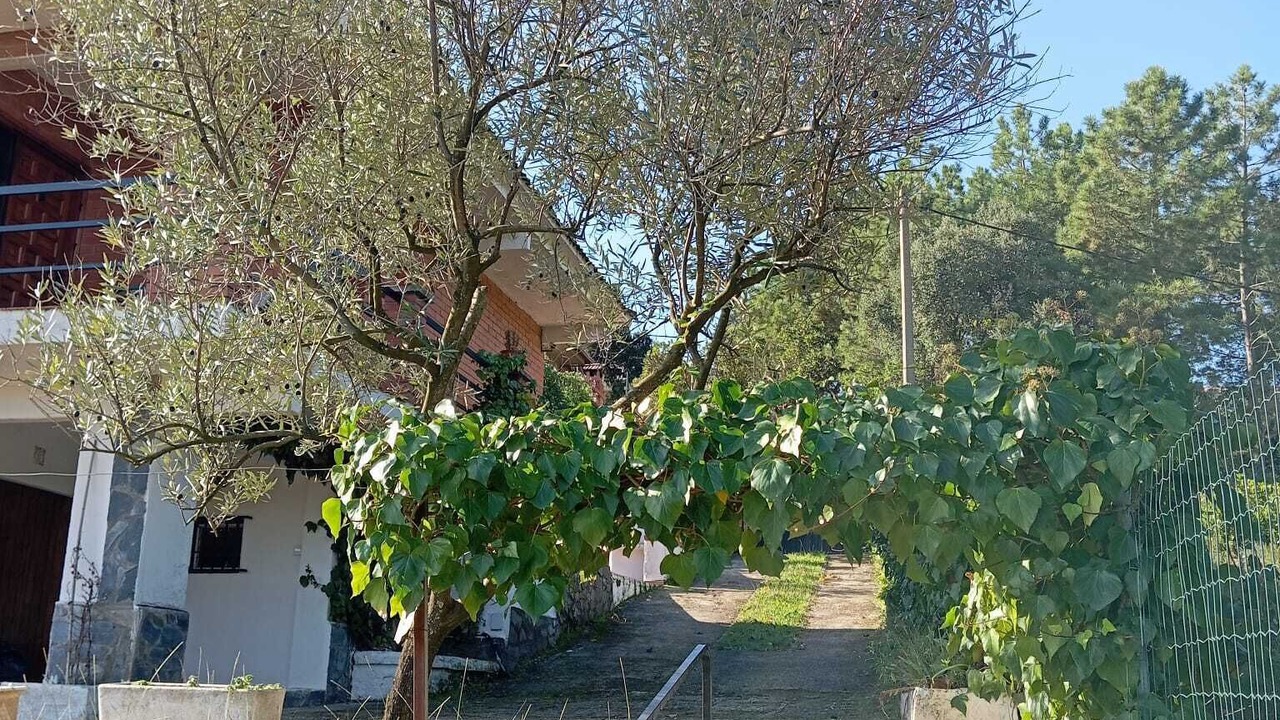 Photo of Outdoor in Can Fornaca