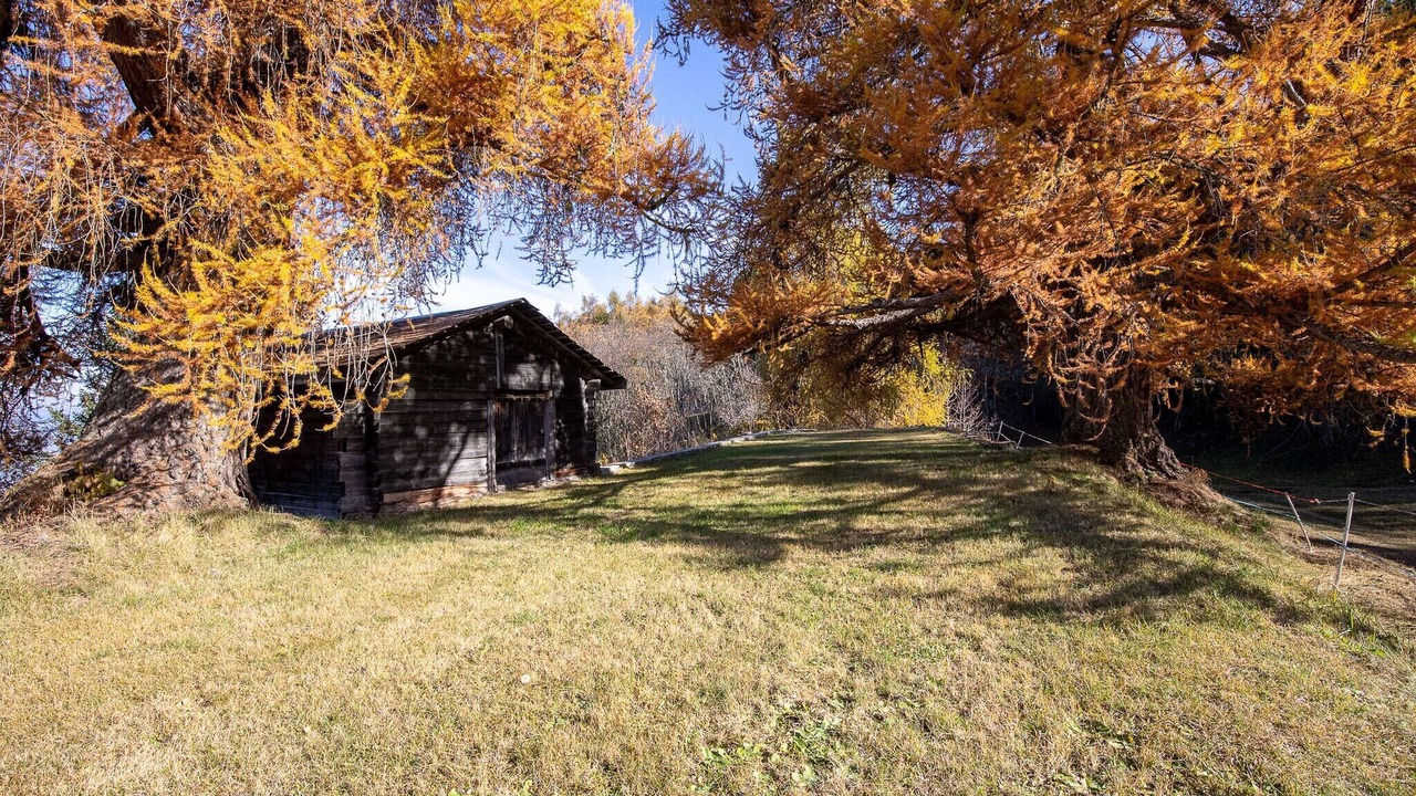 Photo of Outdoor in Les Mayens-de-Sion