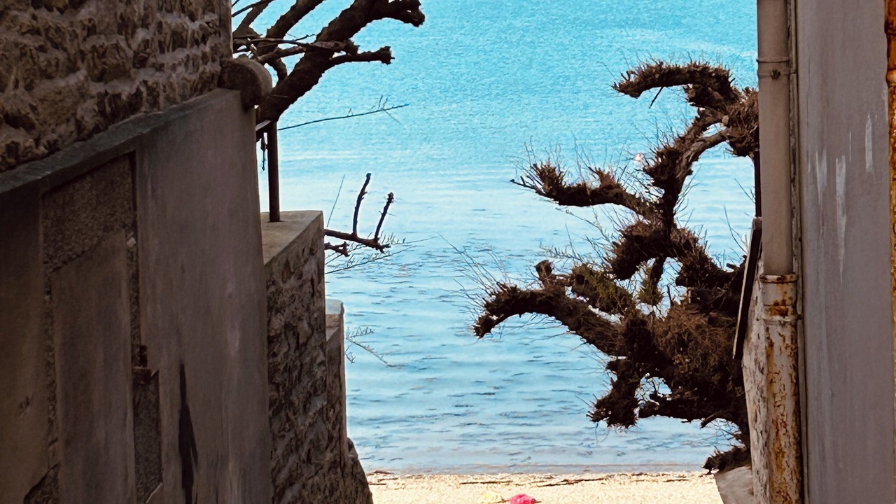 Photo of Others in Concarneau