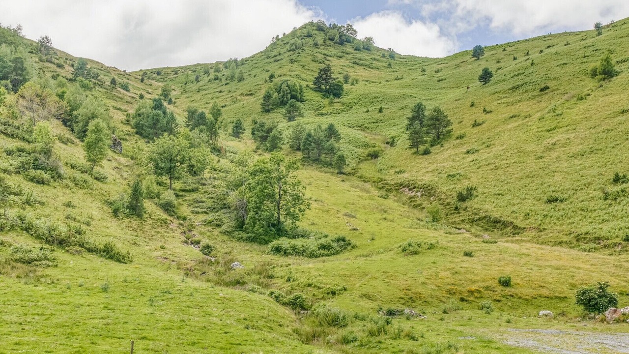 Photo of Others in Adervielle-Pouchergues