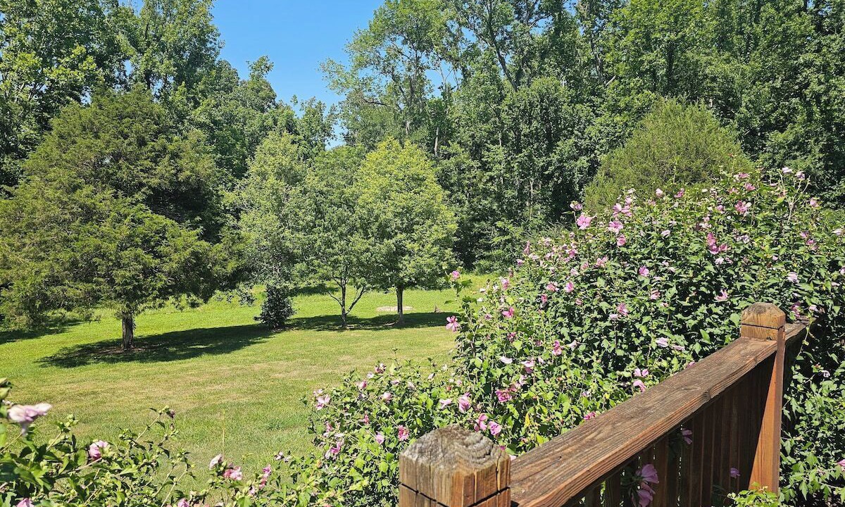 Photo of Outdoor in Kingston Springs