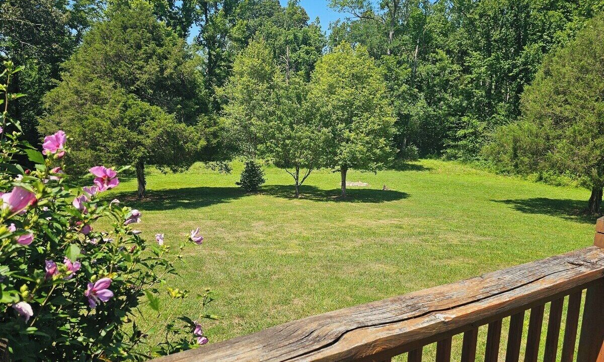 Photo of Outdoor in Kingston Springs
