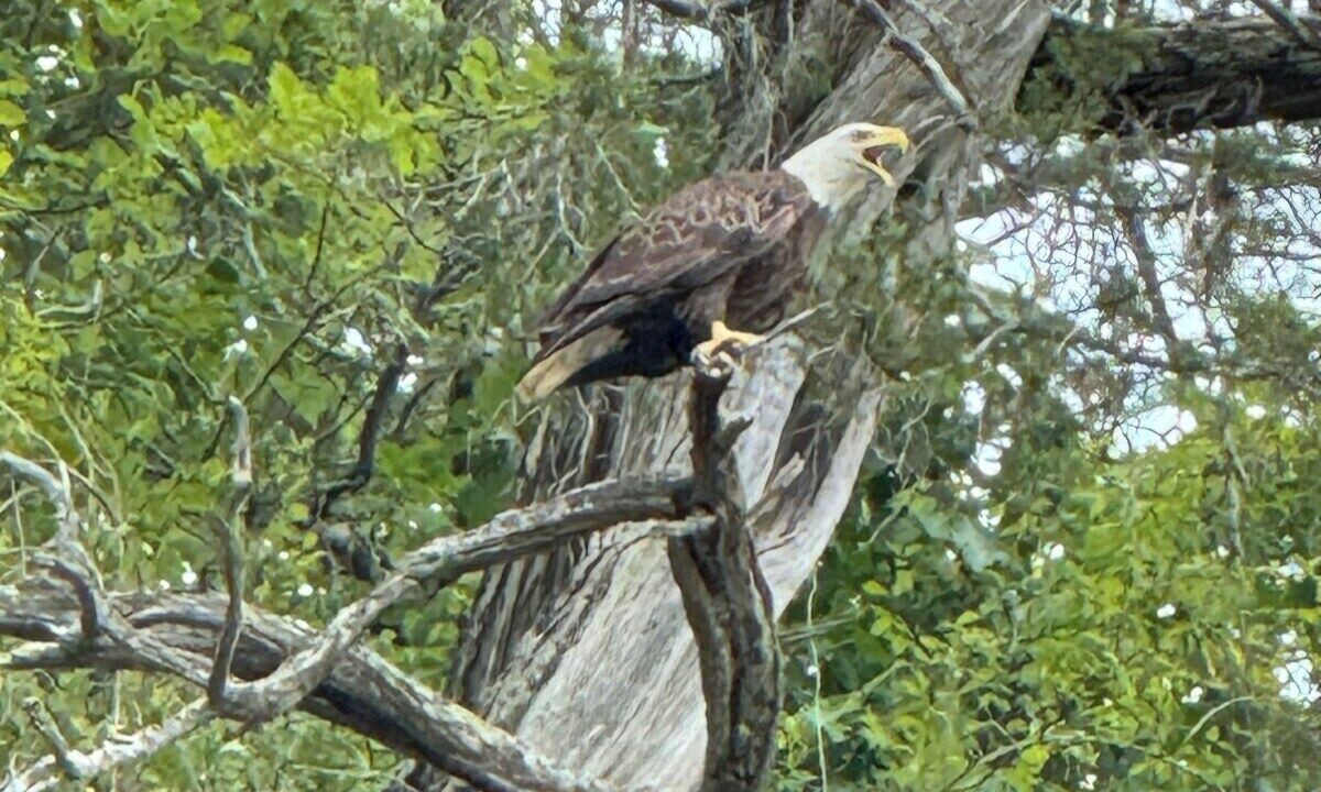 Photo of Others in Kingston Springs