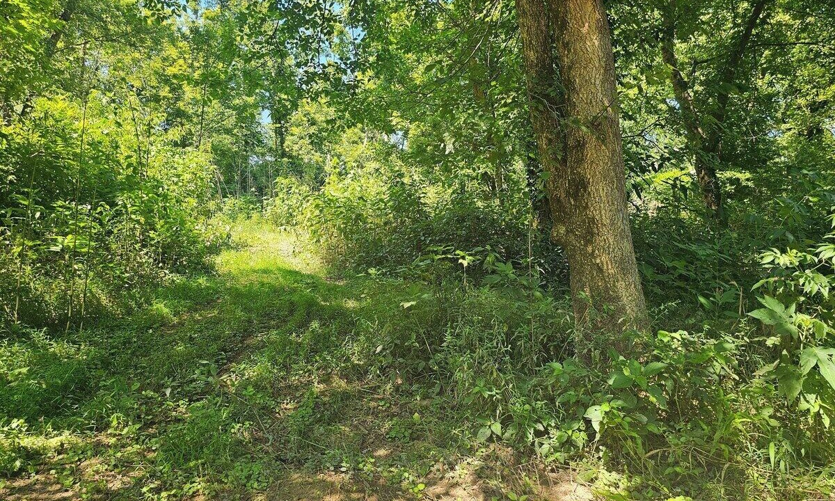 Photo of Others in Kingston Springs