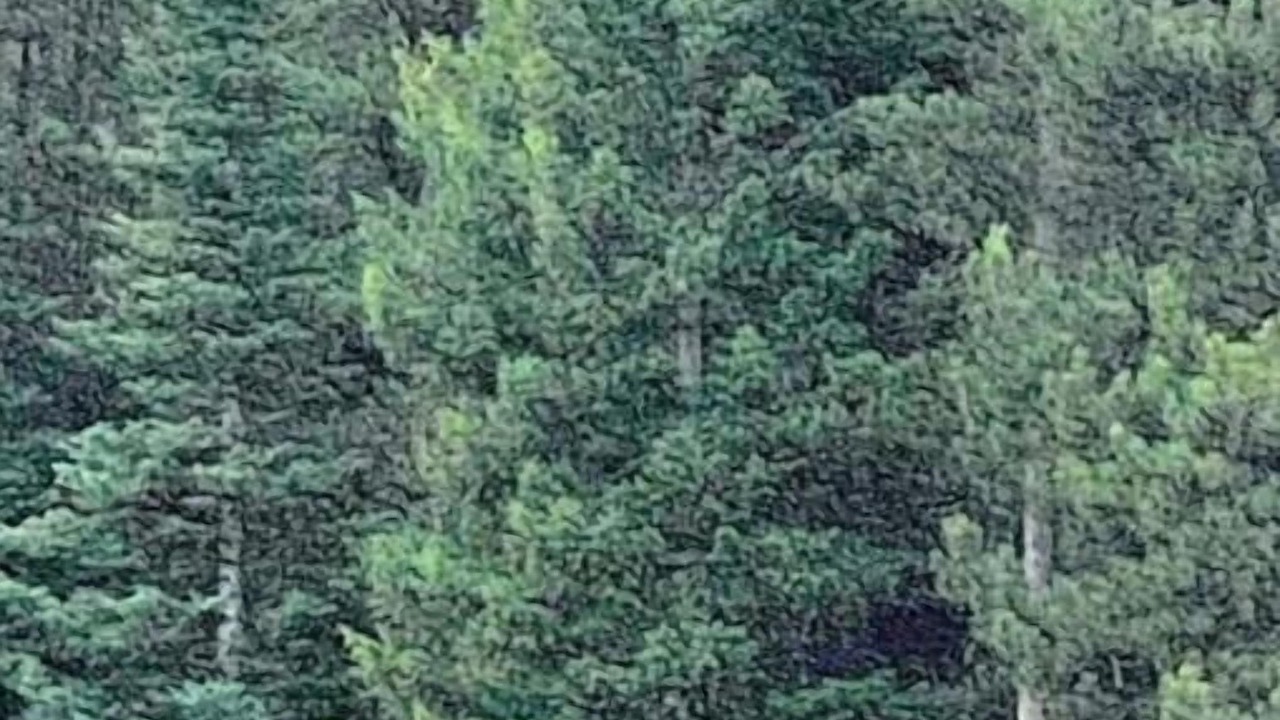 Photo of Others in Big Horn
