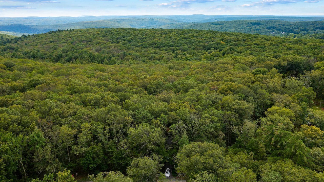 Photo of Others in Rowland