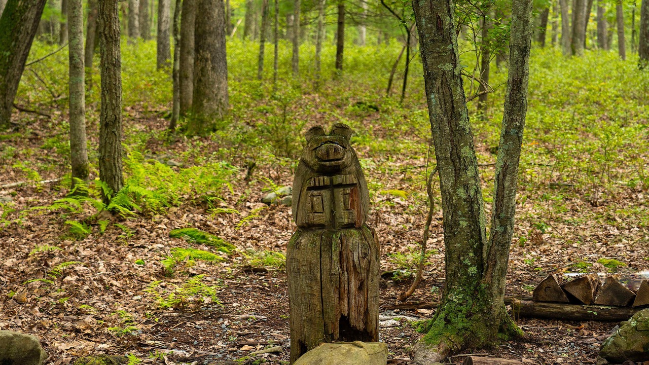 Photo of Others in Rowland