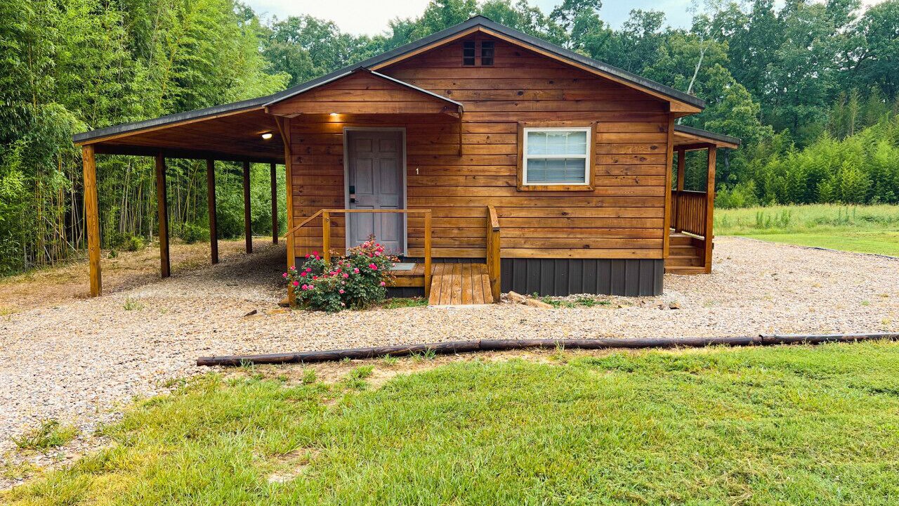 Photo of Outdoor in Daisy
