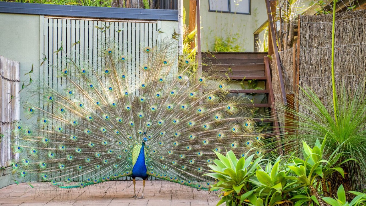 Photo of Outdoor in Skinners Shoot