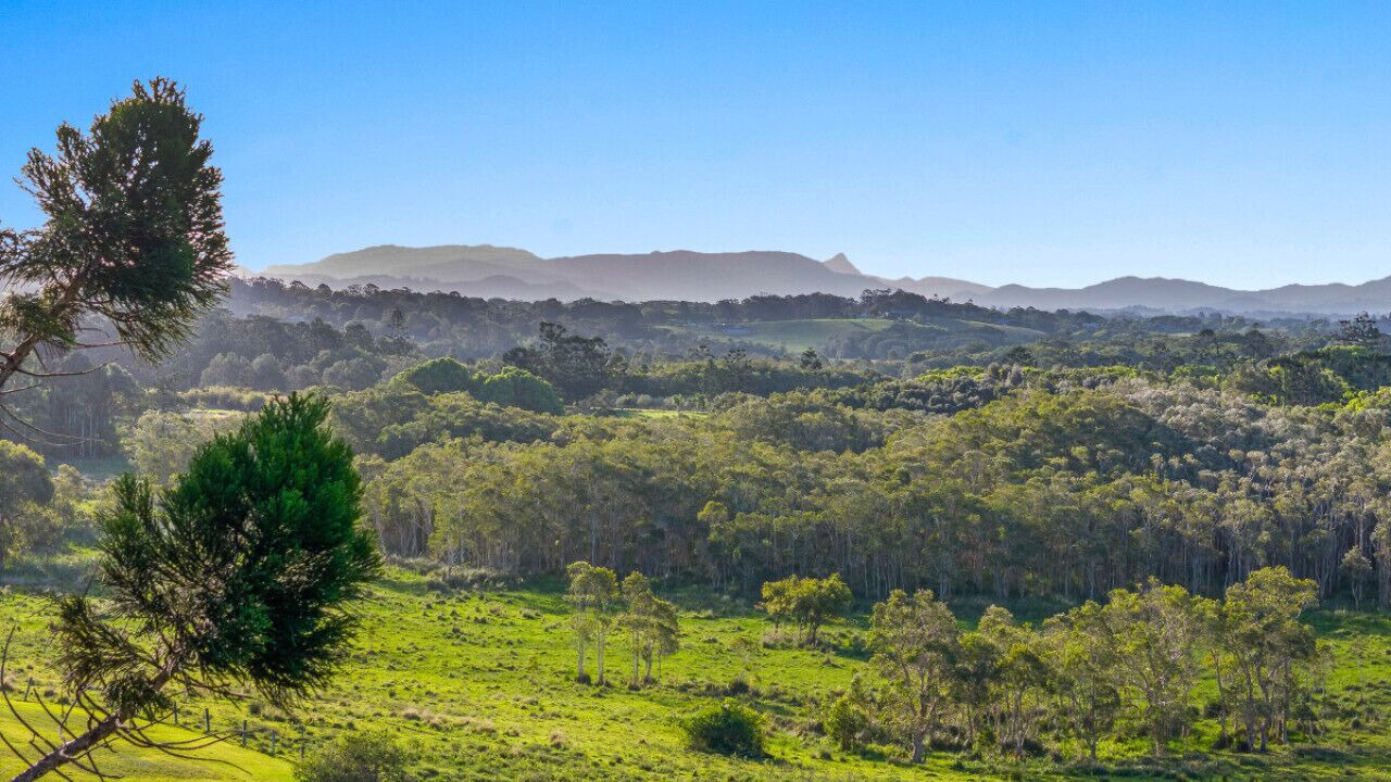 Photo of Others in Skinners Shoot