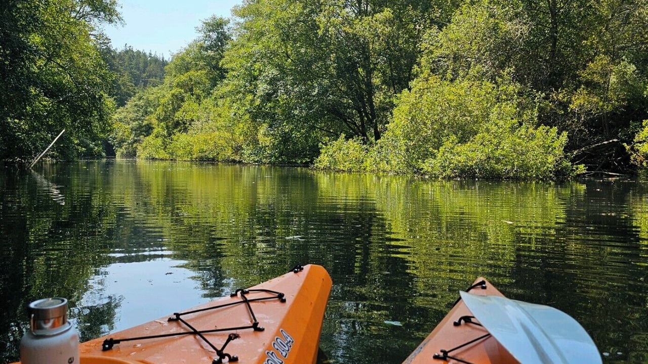 Photo of Others in Clearlake