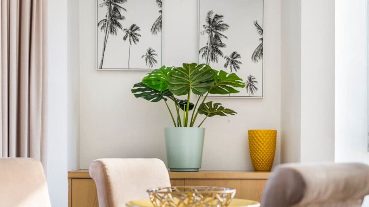 Photo of Others in Main Beach