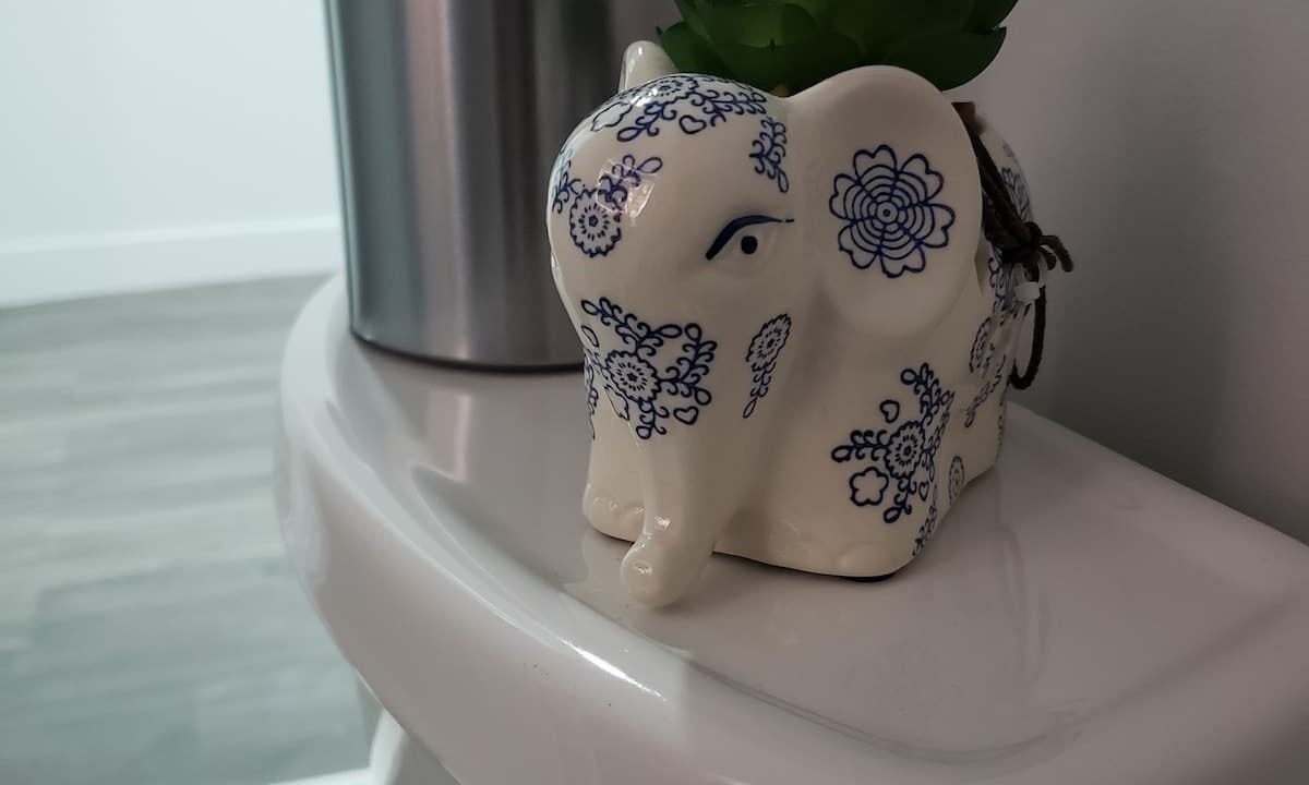 Photo of Others in Delair