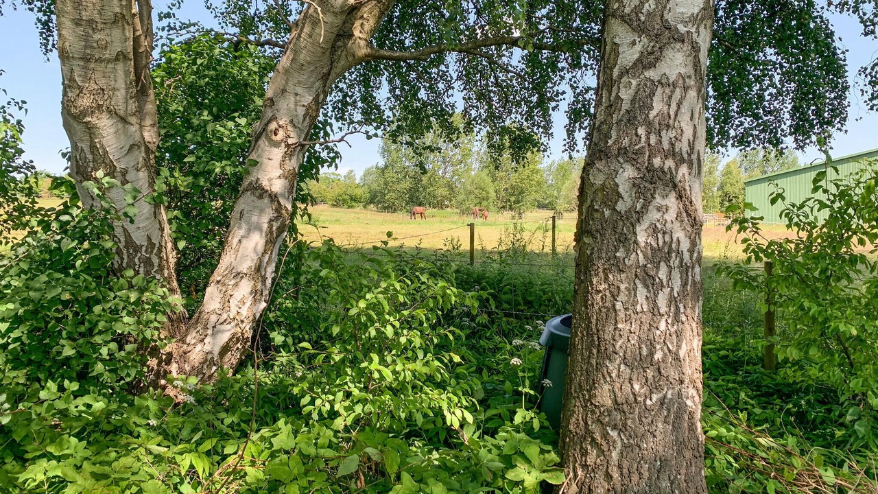 Photo of Others in Olsted