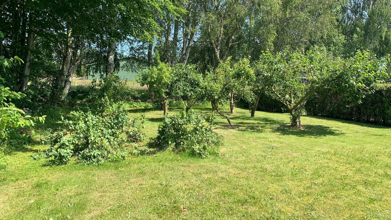 Photo of Others in Olsted