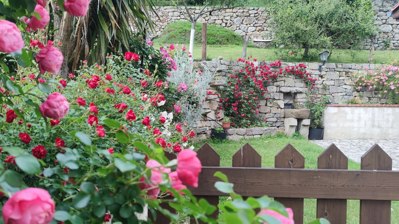 Photo of Outdoor in Alles
