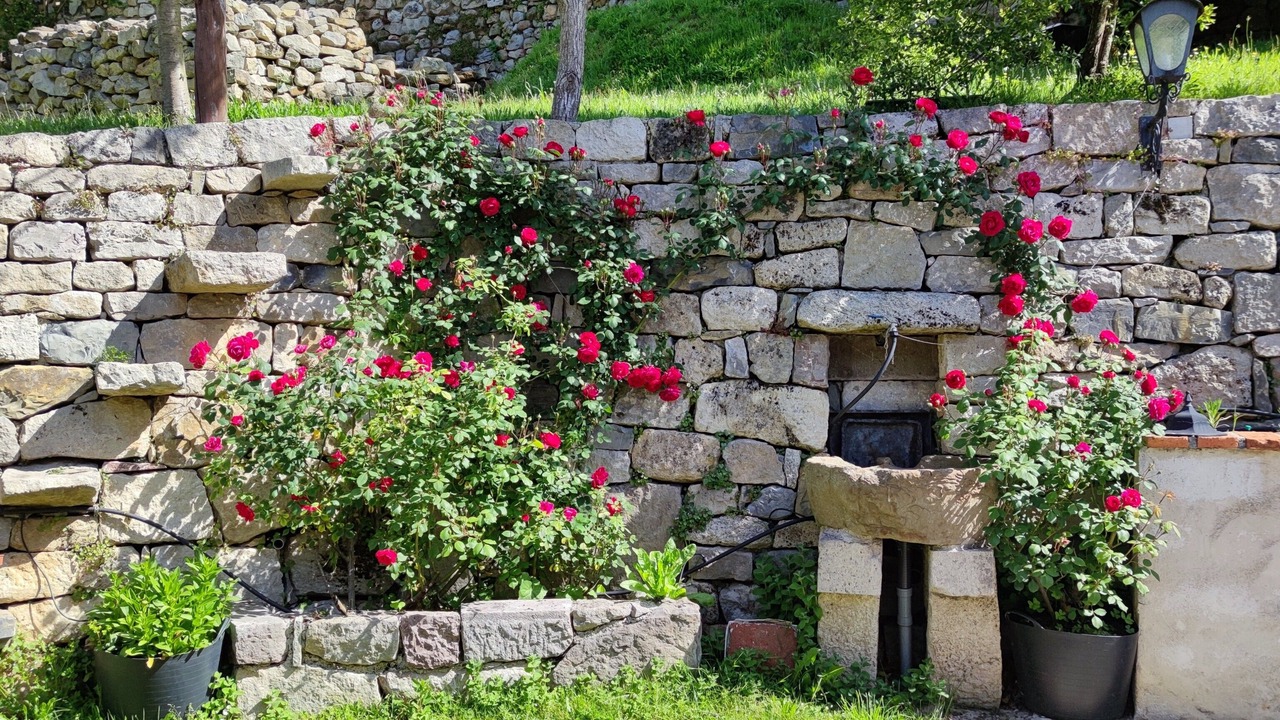 Photo of Outdoor in Alles